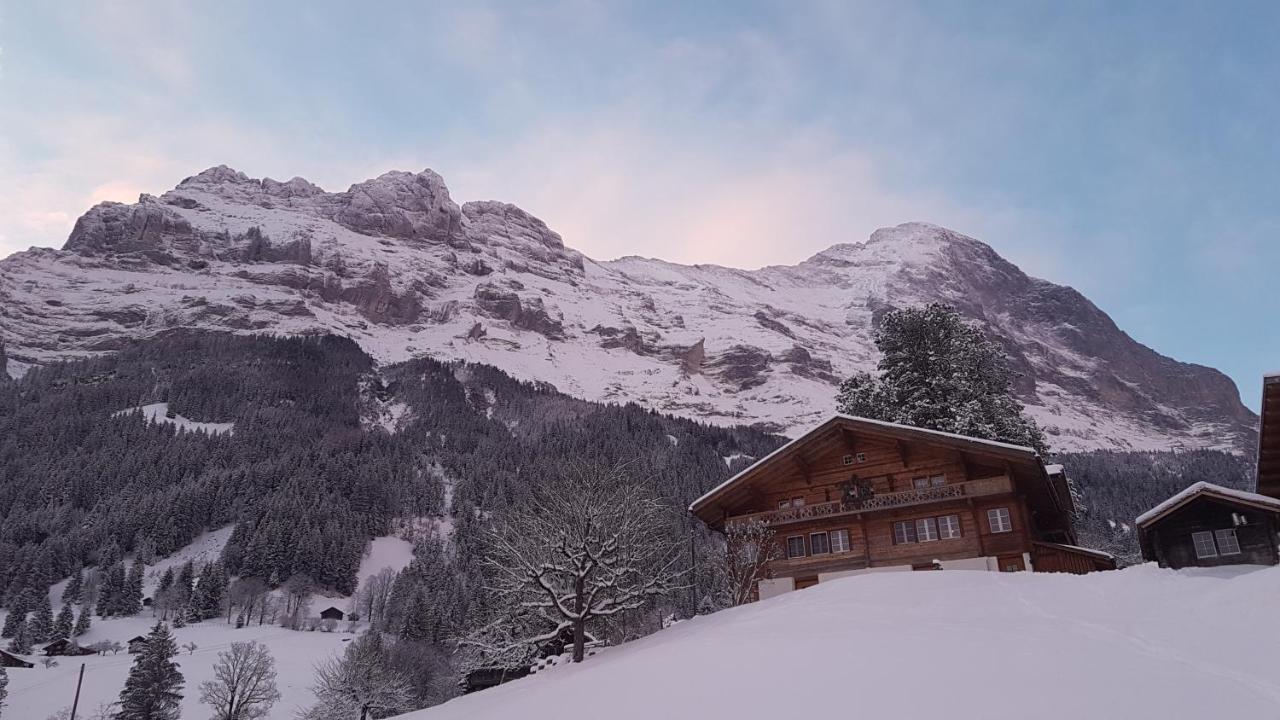 Chalet Bei Der Arve Гріндельвальд Екстер'єр фото